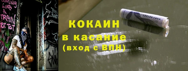 индика Михайлов
