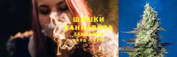 PSILOCYBIN Михайловск