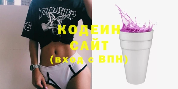 индика Михайлов