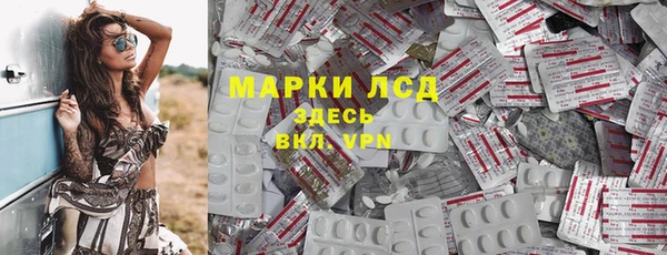 индика Михайлов
