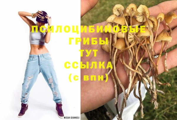 индика Михайлов