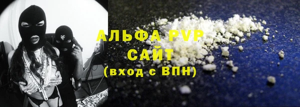 индика Михайлов