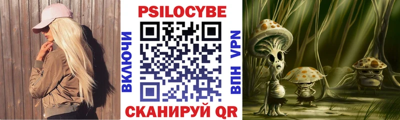 Псилоцибиновые грибы Psilocybe  Новоульяновск 